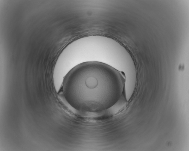 X0000091590432200709101044