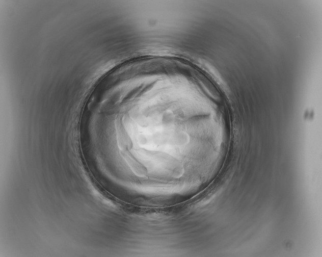 X0000091590433200709101043