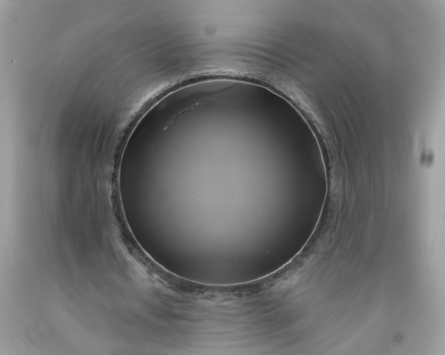 X0000091590434200709101043