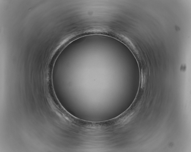 X0000091590435200709101043