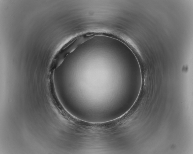 X0000091590436200709101043