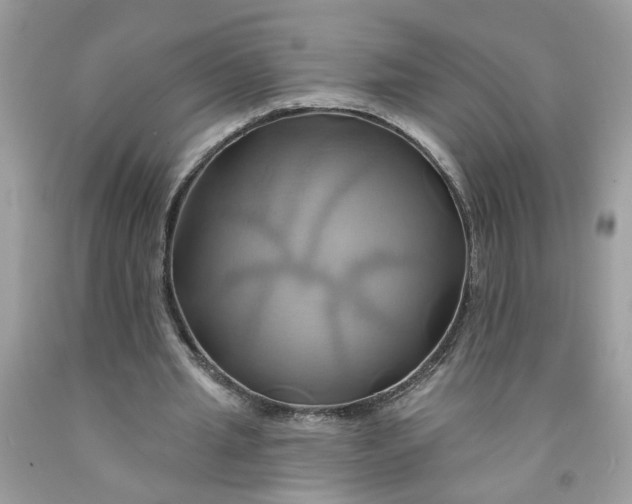 X0000091590437200709101043