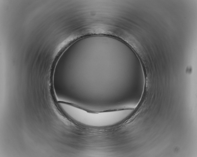 X0000091590438200709101043