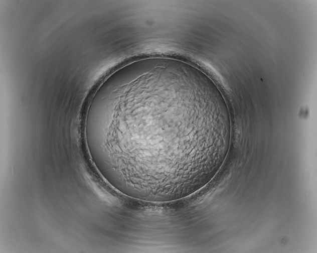 X0000091590439200709101043