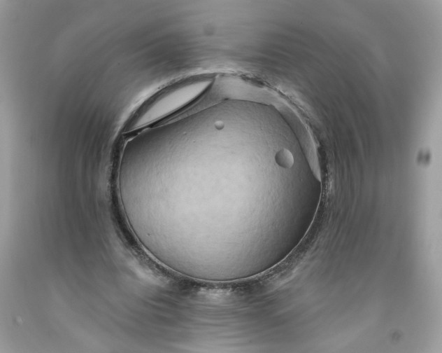 X0000091590440200709101043