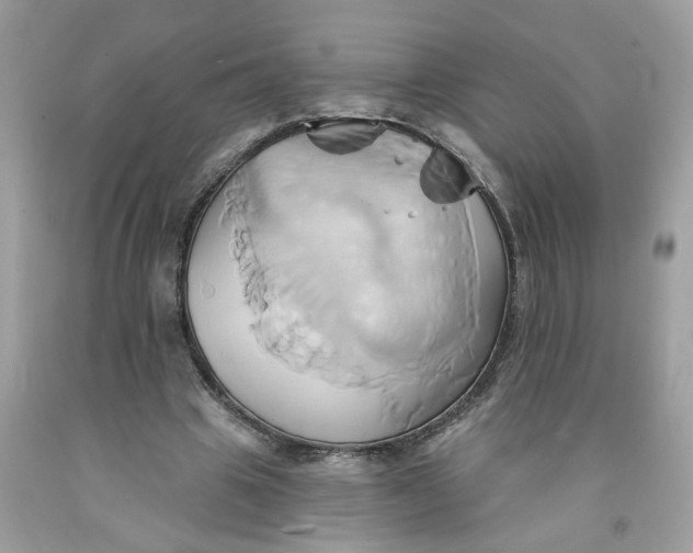 X0000091590441200709101043