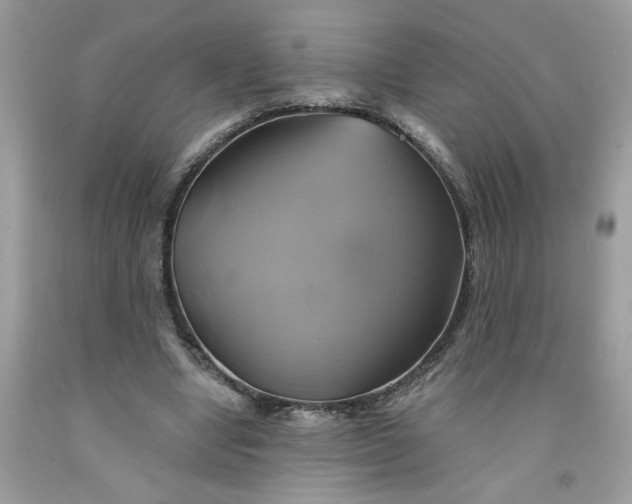 X0000091590442200709101043