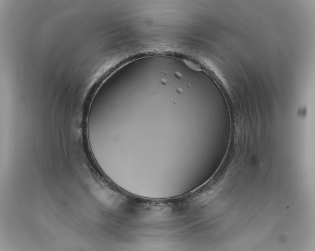 X0000091590443200709101043