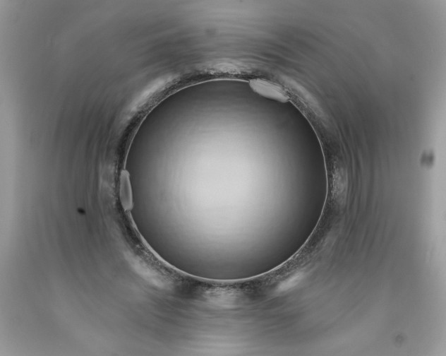 X0000091590444200709101043