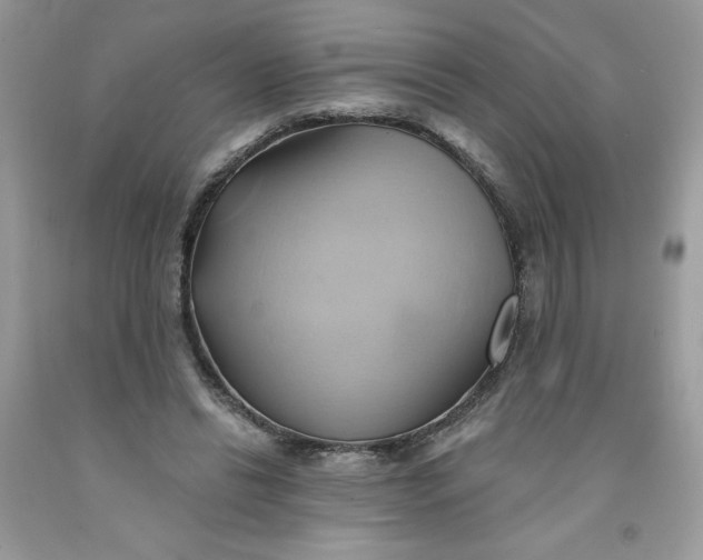 X0000091590446200709101043