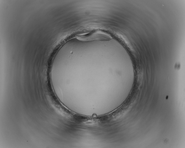 X0000091590447200709101043