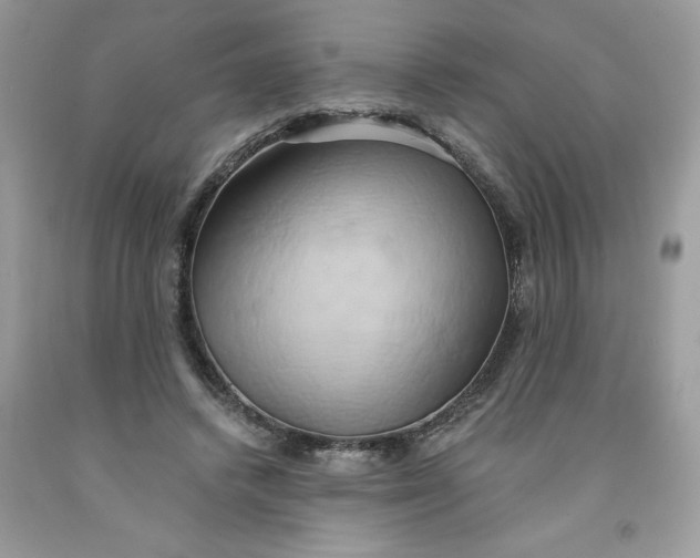 X0000091590448200709101043