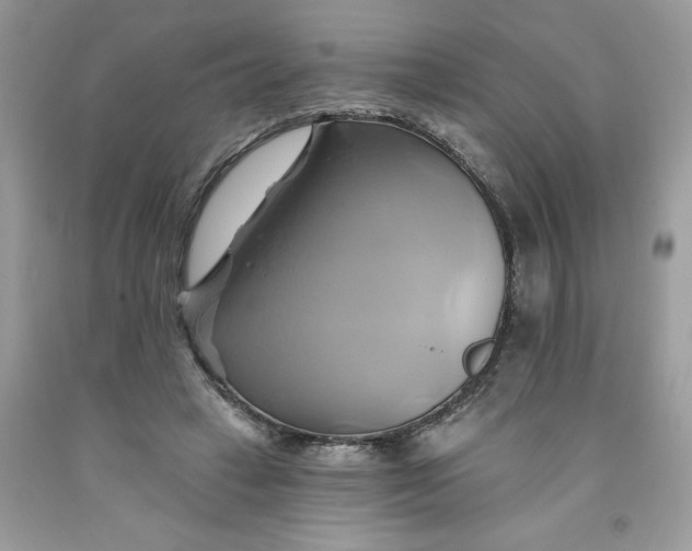 X0000091590449200709101043