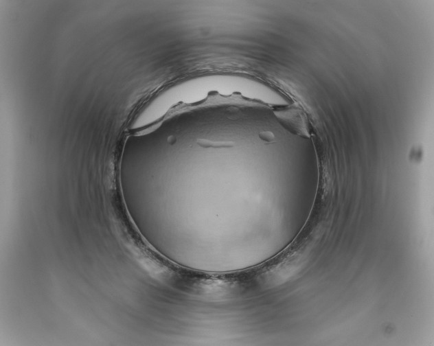 X0000091590453200709101043