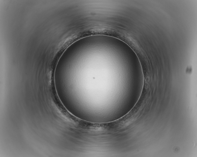 X0000091590454200709101043