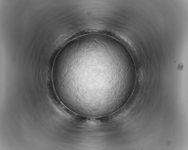 X0000091590455200709101044