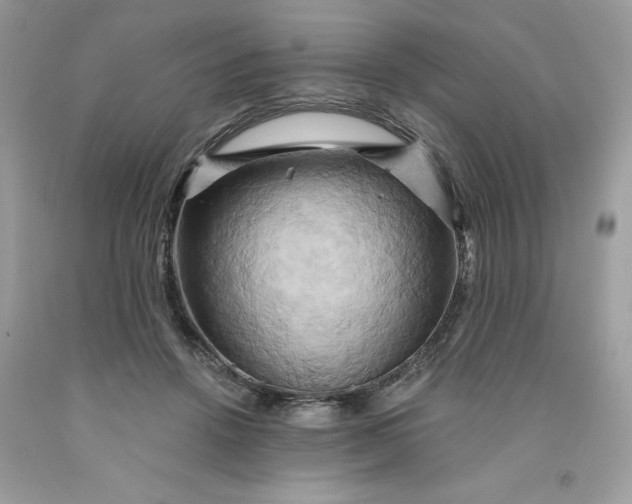 X0000091590456200709101044