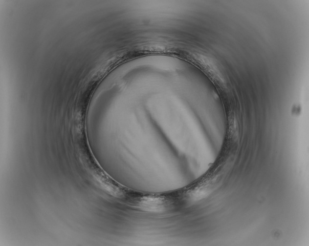 X0000091590457200709101044