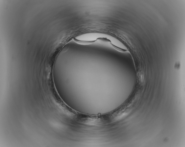 X0000091590458200709101044