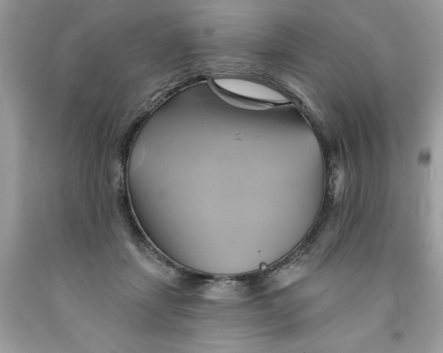 X0000091590459200709101044