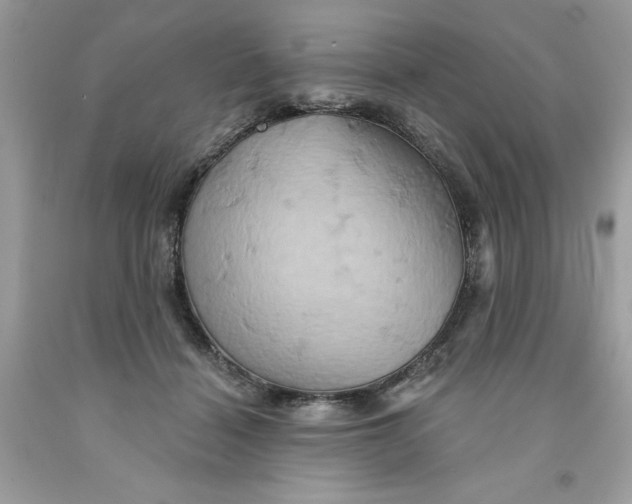 X0000091590460200709101044