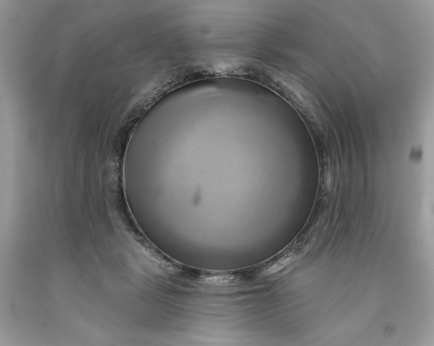 X0000091590461200709101044