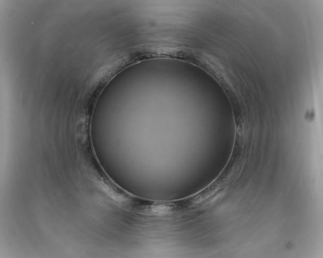 X0000091590462200709101044