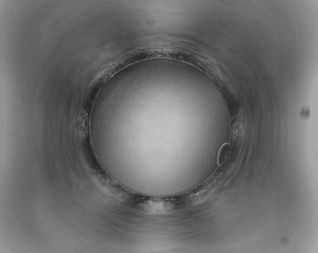 X0000091590464200709101044