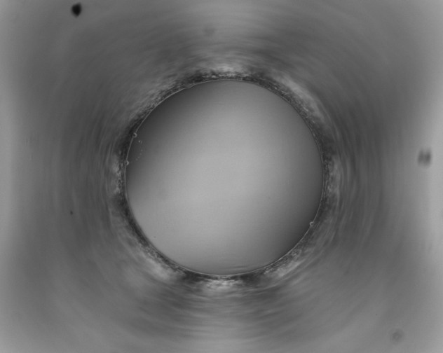 X0000091590465200709101044