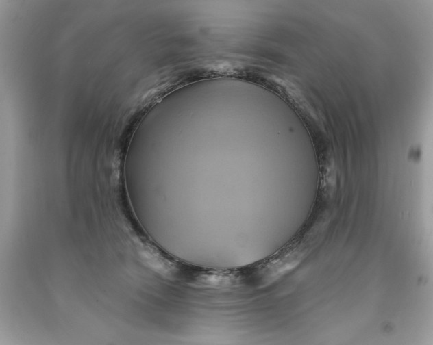 X0000091590466200709101044