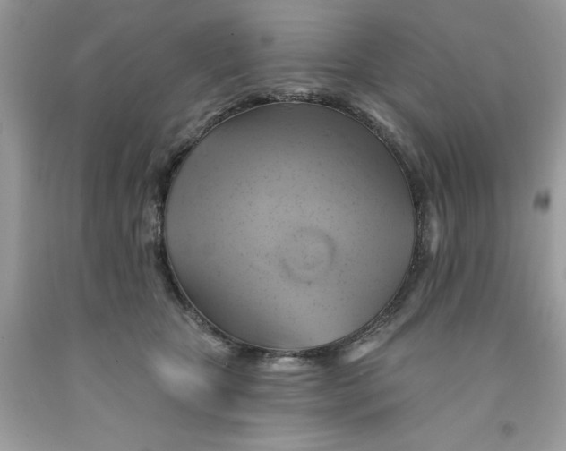 X0000091590467200709101044