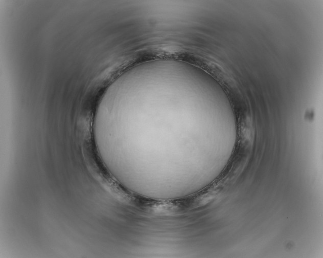 X0000091590468200709101044