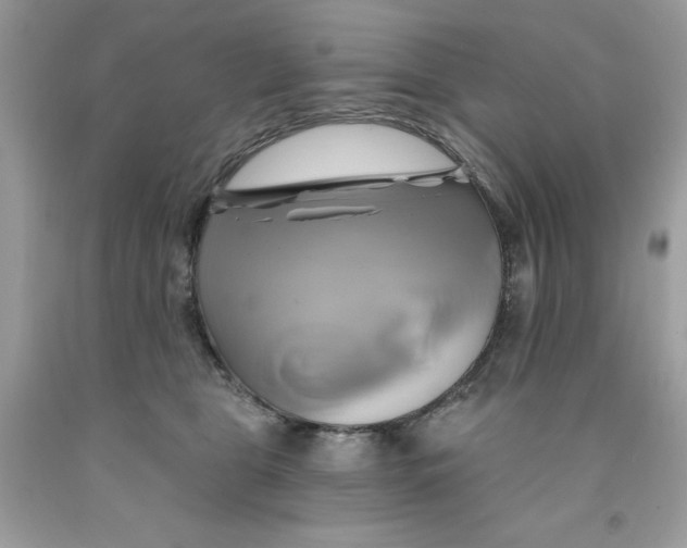 X0000091590469200709101044