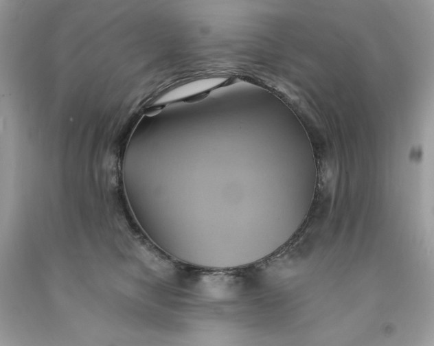 X0000091590470200709101044