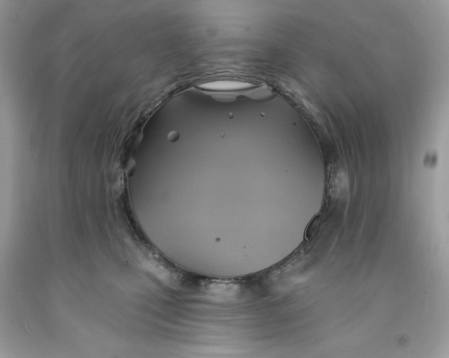 X0000091590471200709101044