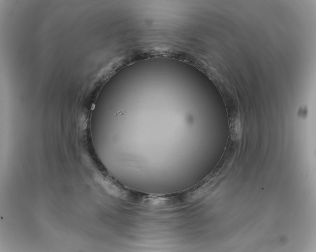 X0000091590472200709101044