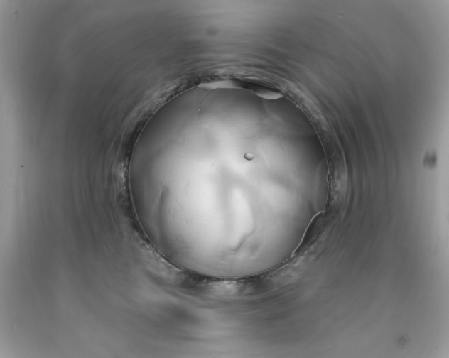 X0000091590473200709101044