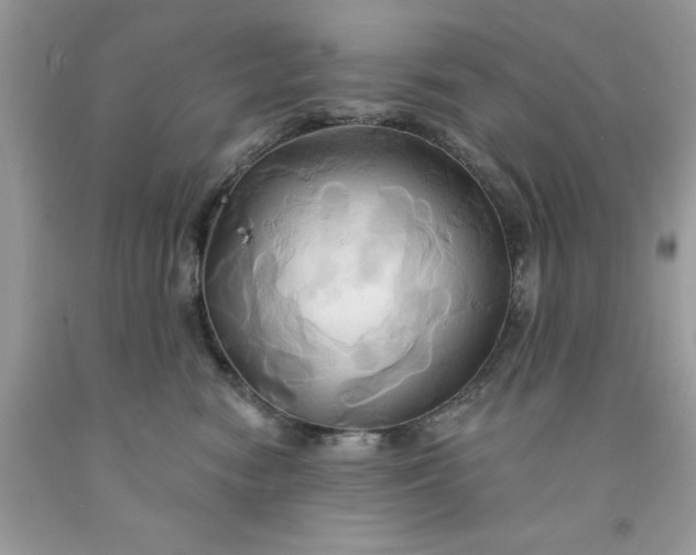 X0000091590474200709101044