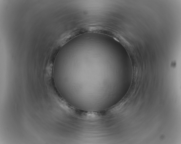 X0000091590475200709101044