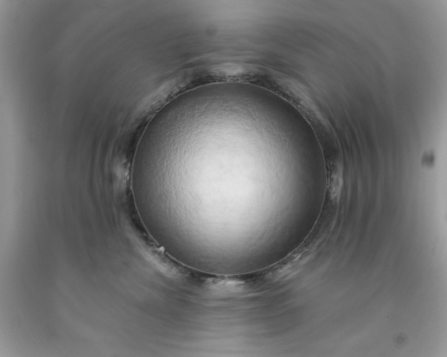 X0000091590476200709101044