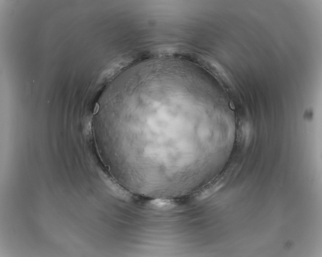 X0000091590477200709101044