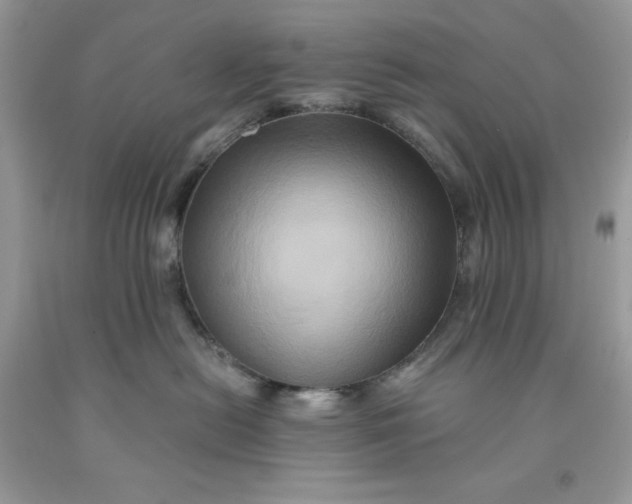 X0000091590478200709101044