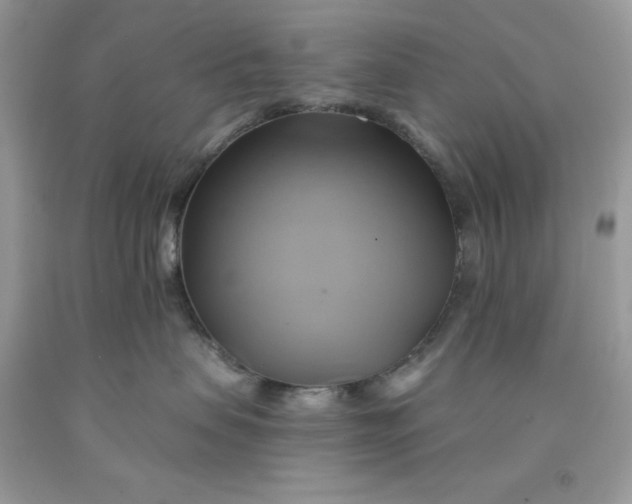 X0000091590479200709101044