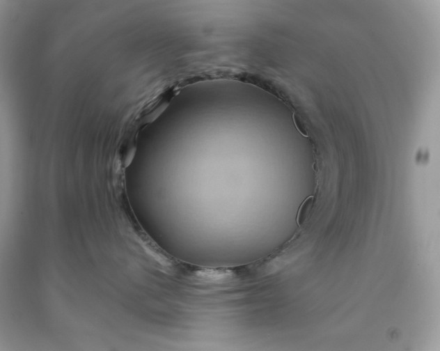 X0000091590480200709101044