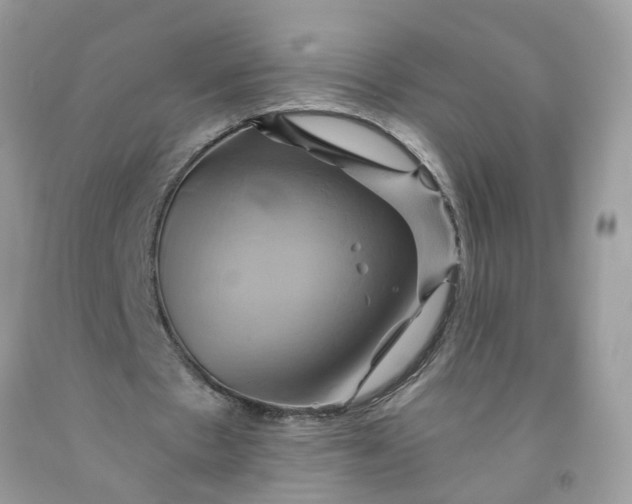 X0000091590481200709101043