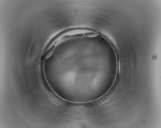 X0000091590483200709101043