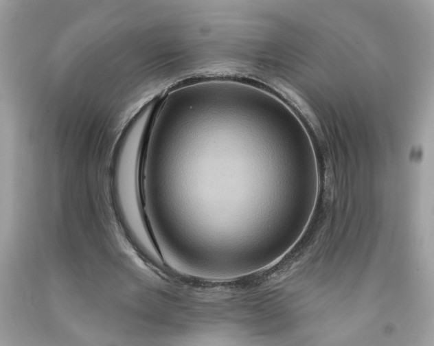 X0000091590485200709101043