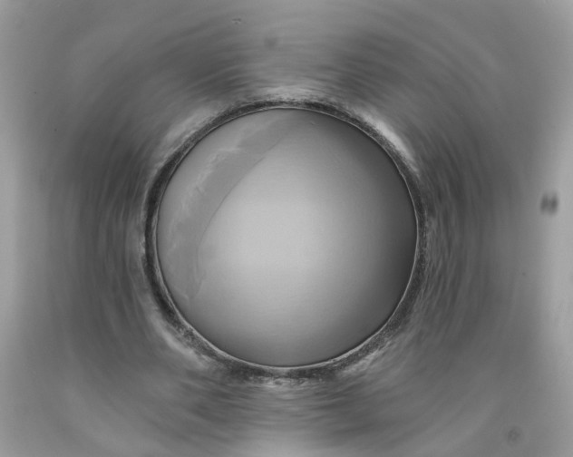 X0000091590486200709101043