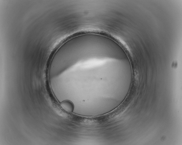 X0000091590487200709101043