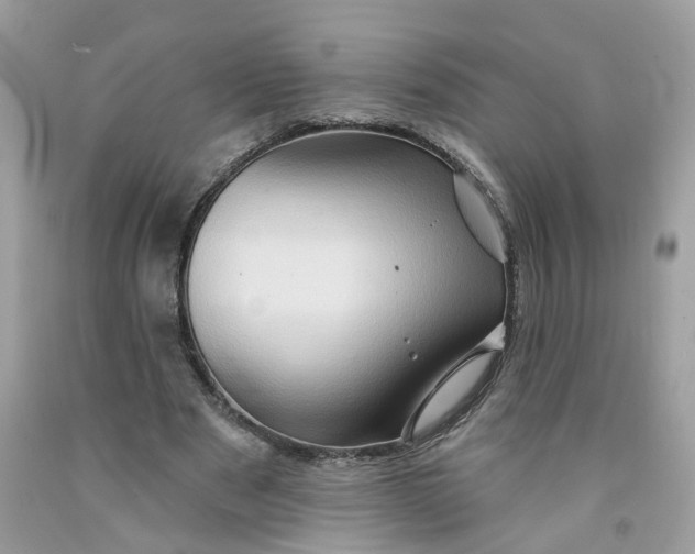 X0000091590489200709101043